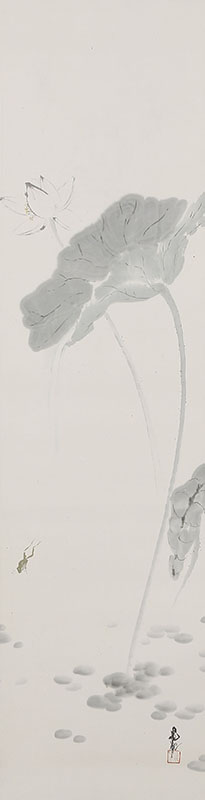 Frog and Lotus