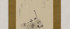Chrysanthemum with Waka