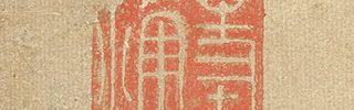 釈迦 鷹