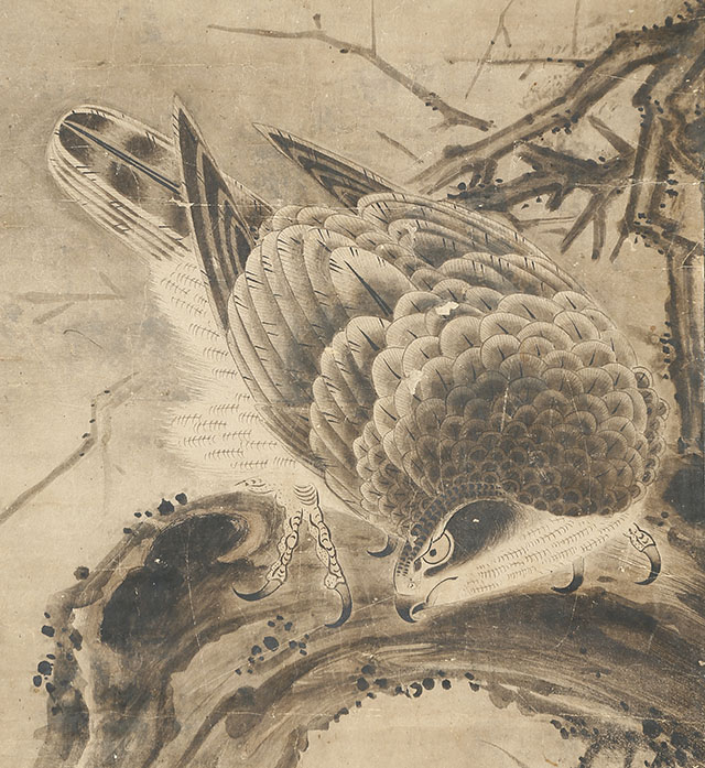 釈迦 鷹