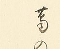 葛の葉自画賛「葛のはのおもてみせけりけさのしも」