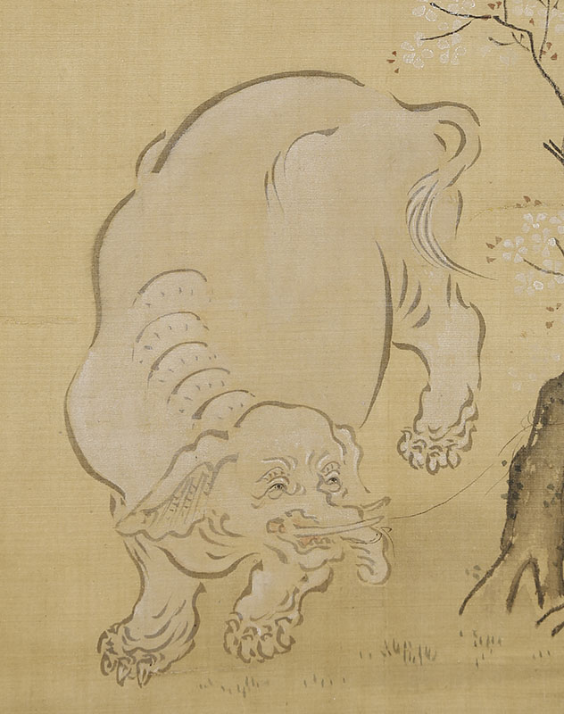 見立普賢菩薩